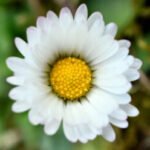 Profilbild von jetztistgut